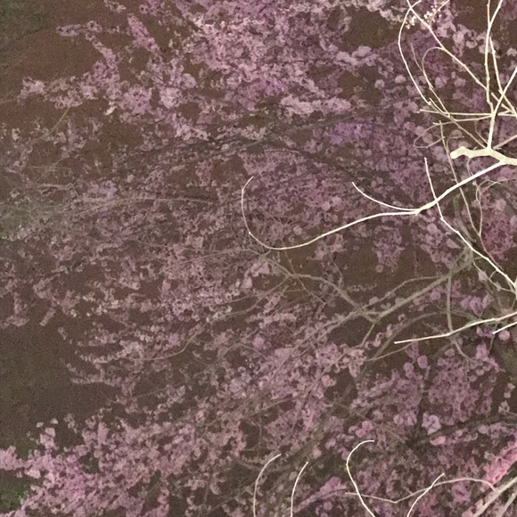 Meet your Posher, Azurae - Picture 1 of 1